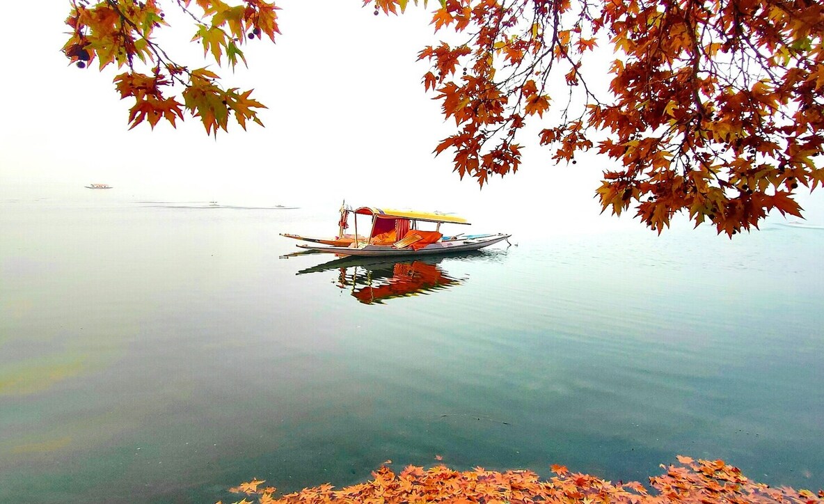 best month to visit Srinagar, shree nagar kashmir temperature, 